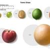 'centimeters are a metric unit commonly used to measure small distances. Https Encrypted Tbn0 Gstatic Com Images Q Tbn And9gcrv Xtzaryuw9wtwwlcdojww1oxf8wpymbmm0qbfwcpjvg5a3gq Usqp Cau