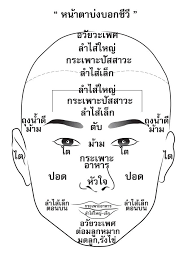 สร ปส งท ได เร ยนร ท งหมดในช วง 3 เด อนแห งธรรมชาต บำบ ด คำคมต ดตลก หน งส อ การนวดกดจ ด