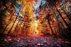 15 Photos from a Brilliant Island Autumn - Welcome PEI