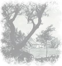 We did not find results for: Home Alt Borkum Teil Borkum