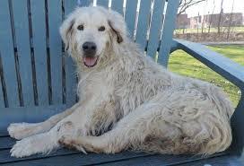 David Mecklenburg's Instagram, Twitter & Facebook