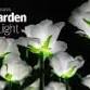 Hospiscare's Garden of Light event image