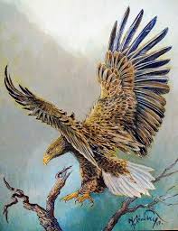 Nel complesso troveremo per i pesci due immense classi. Conferenza Di Fabio Perco Societa Alpina Delle Giulie