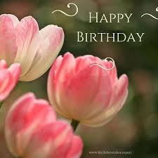 ✓ free for commercial use ✓ high quality images. 300 Great Happy Birthday Images For Free Download Sharing Happy Birthday Greetings Happy Birthday Happy Birthday Images