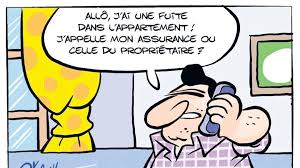 Du Locataire Au Proprietaire La Prise En Charge Balance