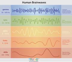A Deep Dive Into Brainwaves Brainwave Frequencies Explained