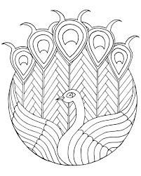 Pin On Coloring Birds And Feathers