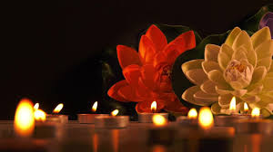We did not find results for: Candle Light And Flowers Stock Video Motion Array