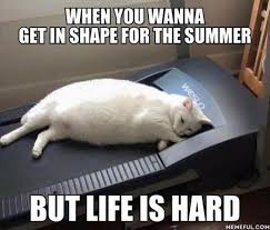 June solstice in new york, new york, usa is on sunday, 20 june 2021, 23:32 edt (change. Happy Summer Meme