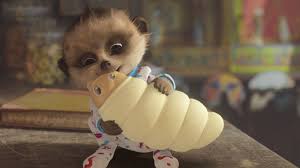 Bite Off More Than You Can Chew Gif Baby Oleg Arrives On Corrie Meerkat Cuddles And Snuggles Baby