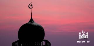 13,654 likes · 14,032 talking about this. Muslim Pro Athan Quran Prayer Times Qibla Islam Apps On Google Play