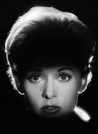 The Aesthetics and Psychology Behind Horror Films