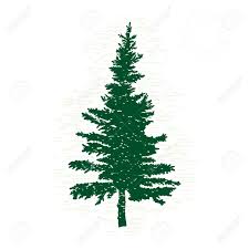 341 free images of pine tree. Hand Drawn Textured Fir Tree Vector Illustration Silhouette Royalty Free Cliparts Vectors And Stock Illustration Image 66805745