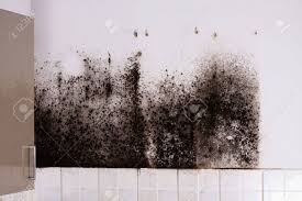 Call in a mold remediation company for an inspection. Mold Behind Kitchen Cabinets Stock Photo Picture And Royalty Free Image Image 51674194