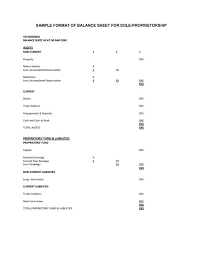 Three Examples Of Sole Proprietorships Ehow Search Results Balance Sheet Template Balance Sheet Sole Proprietorship