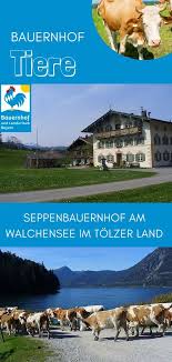 Gastgeber Bauernhof Tiere Ferien Auf Dem Bauernhof Bauernhof