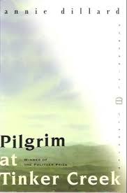Pilgrim At Tinker Creek Harper Perennial Modern Classics Annie Dillard 9780061233326 Amazon Com B Annie Dillard Book Worth Reading How To Memorize Things