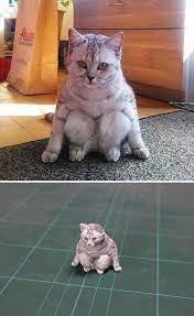 Funny Animals Sculptures Funny Animals Animal Memes Funny Animal Pictures