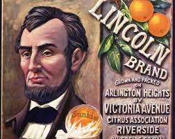 Original Vintage Citrus Crate Label 1930s Peace Dove Olive Orange County  California Olivia Quite Scarce Pure Gold Hi Top 11x11"