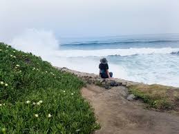 With over 20 years of versed and expert experience you can feel confident of fulfilling your floral needs in. A Local S Guide To La Jolla San Diego S Jewel Her Travel Edit