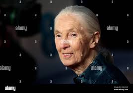 Dr jane hi-res stock photography and images