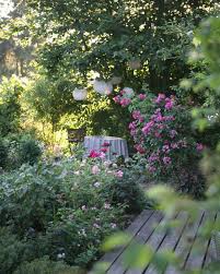 Der Neue Sitzplatz Im Ehemaligen Sandkasten Unter Dem Haselnusstrauch Ist Momentan Das Lieblingsplatzchen Garden Inspiration Beautiful Gardens Outdoor Gardens