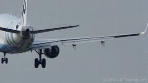 Tap and hold to download & share. Winglet Bird Strike Gif On Imgur
