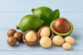 Image result for Macadamia aff. integrifolia