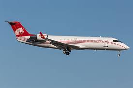 Image result for Superior White 1995 Fleet