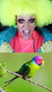 Lá Fhéile Pádraig Shona Daiobh 🇮🇪☘️💚🤍🧡