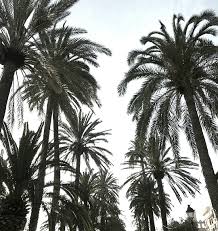 Find & download the most popular aesthetic photos on freepik free for commercial use high quality images over 10 million stock photos. Aesthetic Boho And White Black Image 6170999 On Favim Com