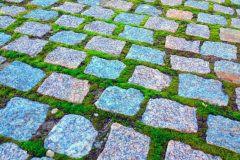 Vor allem dann, wenn algen und grünbelag von oberflächen entfernt werden sollen, anstatt aus stehenden gewässern, kommen chemikalien mit desinfizierender wirkung zum einsatz, welche die algen direkt. Moos Und Algen Entfernen Diese Mittel Helfen