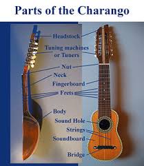 Maybe you would like to learn more about one of these? Charango Wikipedia