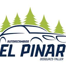 Desguaces El Pinar