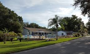 Informed rvers have rated 20 campgrounds near leesburg, florida. Blue Parrot Rv Resort
