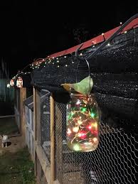 Chicken Coop Solar Lights Solar Lights Chicken Coop Lights