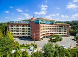 Nikmati perjalanan menuju email masuk yang ditingkatkan dan lebih teratur. 10 Hotel Terbaik Dekat Gyeongju World Culture Expo Park Di Gyeongju Korsel