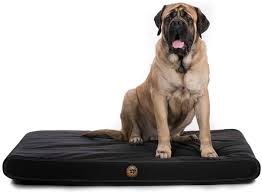 Big barker 7″ pillow top orthopedic dog bed. Chew Proof Dog Beds Indestructible Dog Mattresses For Sale