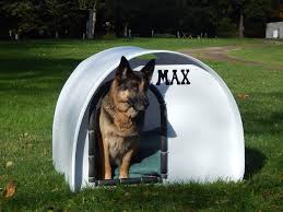 Coro Dog House Cheap Dog Houses Dog Kennel Outdoor Diy Dog Stuff