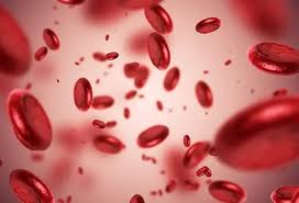 Image result for Red Cell Distribution Width