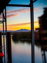 Image result for Delta 209