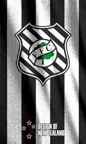 O plano de recuperação extrajudicial pedido pelo figueirense é algo inédito no futebol brasileiro e é a esperança do clube catarinense, que completou 100 anos em 12 de junho. 70 Ideias De Figueirense Figueirense Futebol Clube Futebol Gato Fernandez