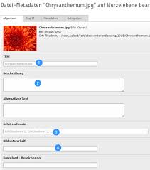 Images downloader is an useful online software help you type url and download the images from webpage or url. Bilder Und Downloads Verwalten Carl Von Ossietzky Universitat Oldenburg