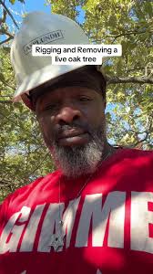 How to Remove Tiny Oak Trees