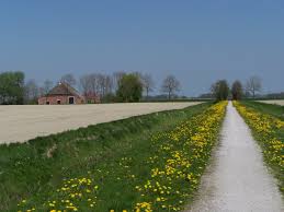 Groninger Landschap Groningen Landschappen Landschap