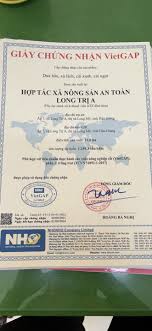 Cải Xanh VietGap - 1 kg -giao nội tỉnh Hậu Giang - Sàn thương mại điện tử  Quốc Gia - Bưu điện Việt Nam