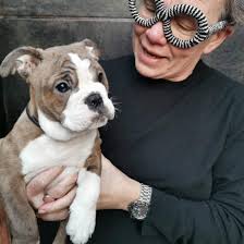 Helene Rytter Jensen