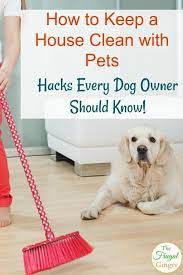 How To Keep A House Clean With Pets Hacks Every Dog Owner Should Know Pet Hacks Dog Cleaning House Cleaning Tips