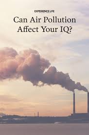 Can Air Pollution Affect Your Iq Air Pollution Pollution Air