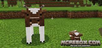 It adds a total of nine mobs to the game and the . The Best Animal Mods For Minecraft Pe Bedrock Edition Mcpe Box